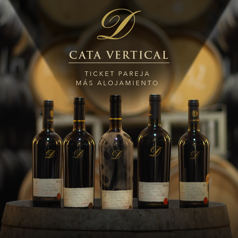 CATA VERTICAL ICONO D ENTRADA PAREJA + ALOJAMIENTO