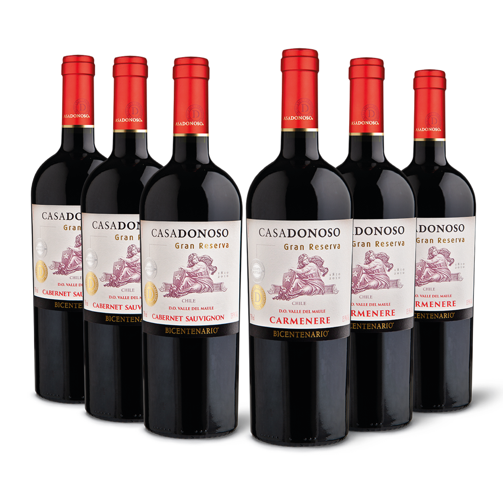 Pack Bicentenario Gran Reserva tintos (6 botellas).
