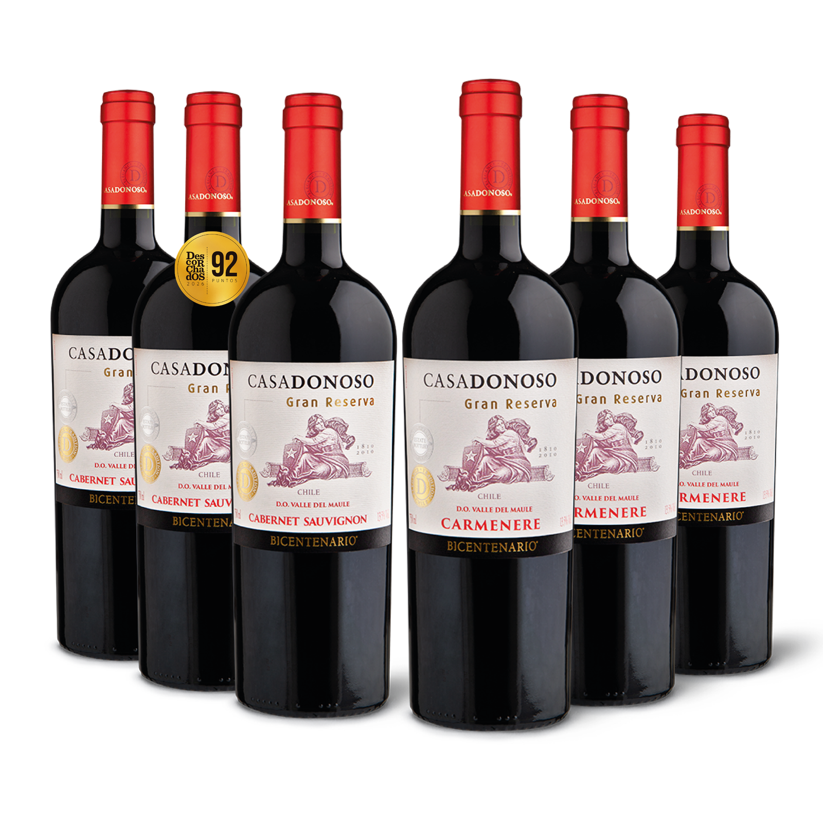 Pack Bicentenario Gran Reserva tintos (6 botellas).