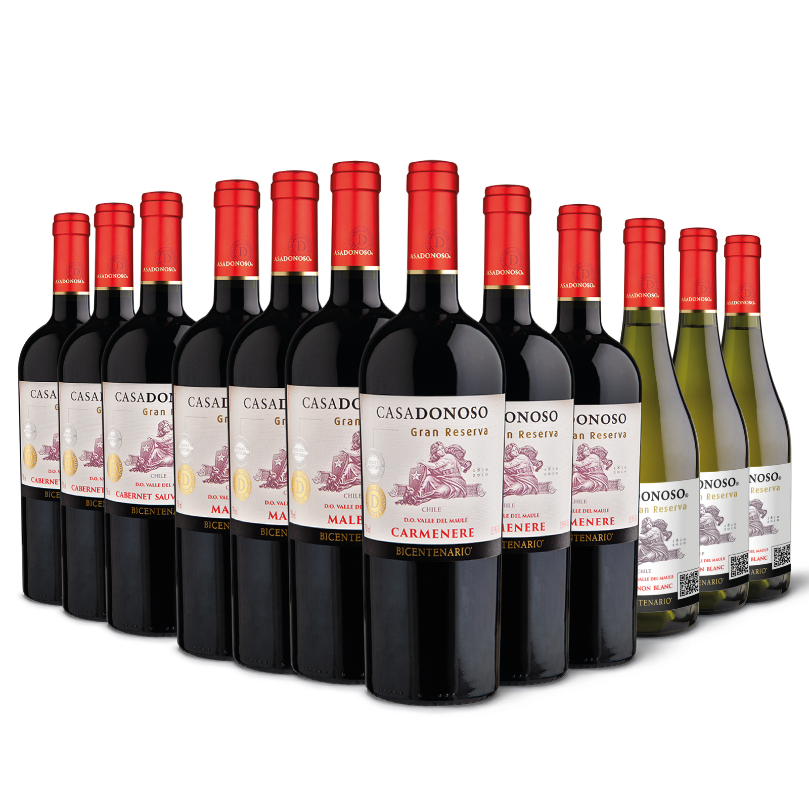 Pack Bicentenario Gran Reserva mixto (12 botellas)