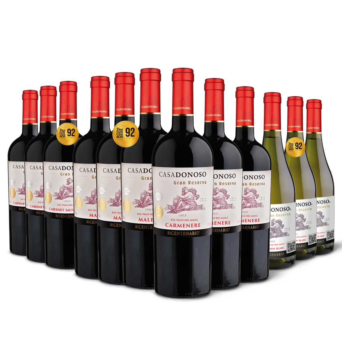 Pack Bicentenario Gran Reserva mixto (12 botellas)