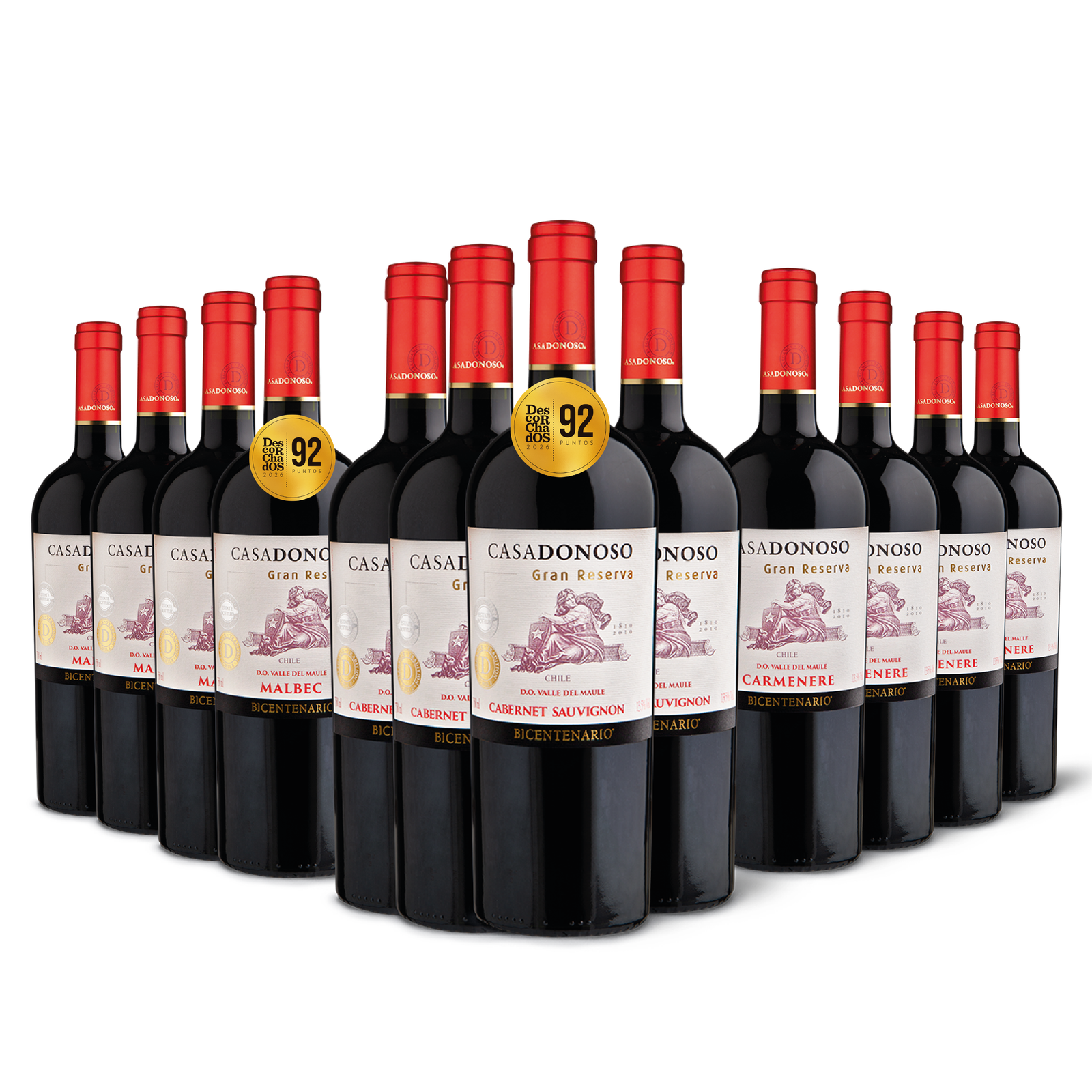 Pack Bicentenario Gran Reserva (12 botellas).
