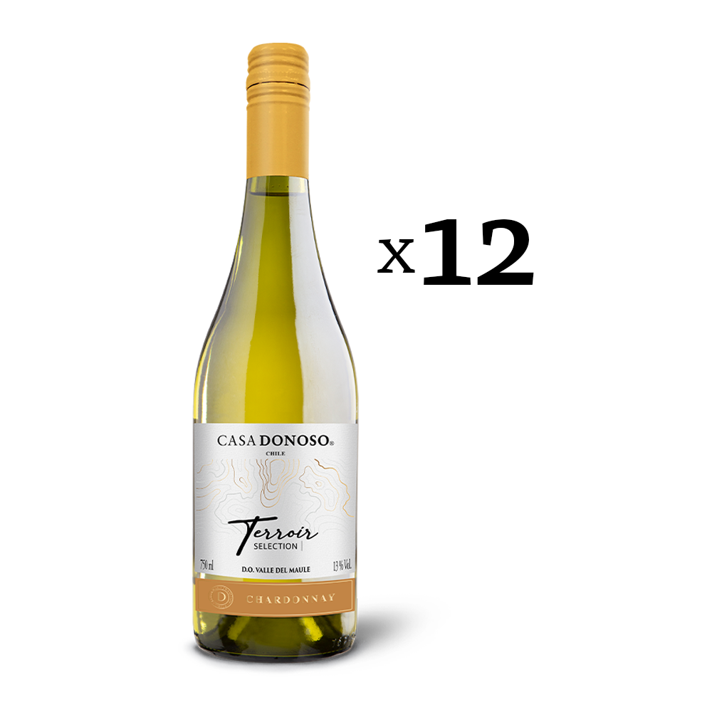 Casa Donoso Terroir Selection Chardonnay 750 cc CAJA 12 botellas