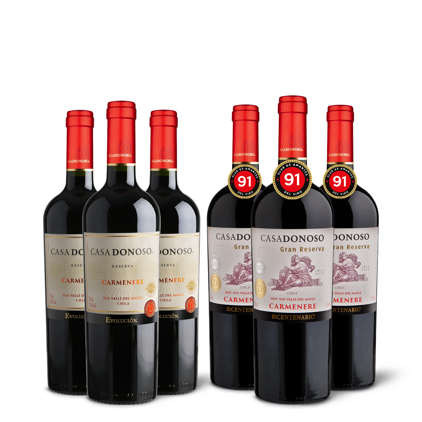 Pack Carmenere (6 botellas)