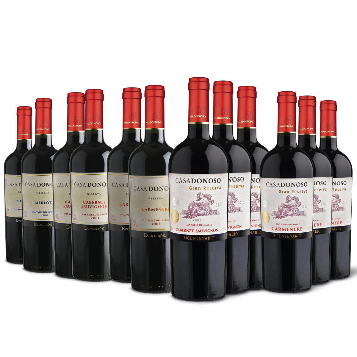 Pack los más vendidos (12 Botellas)