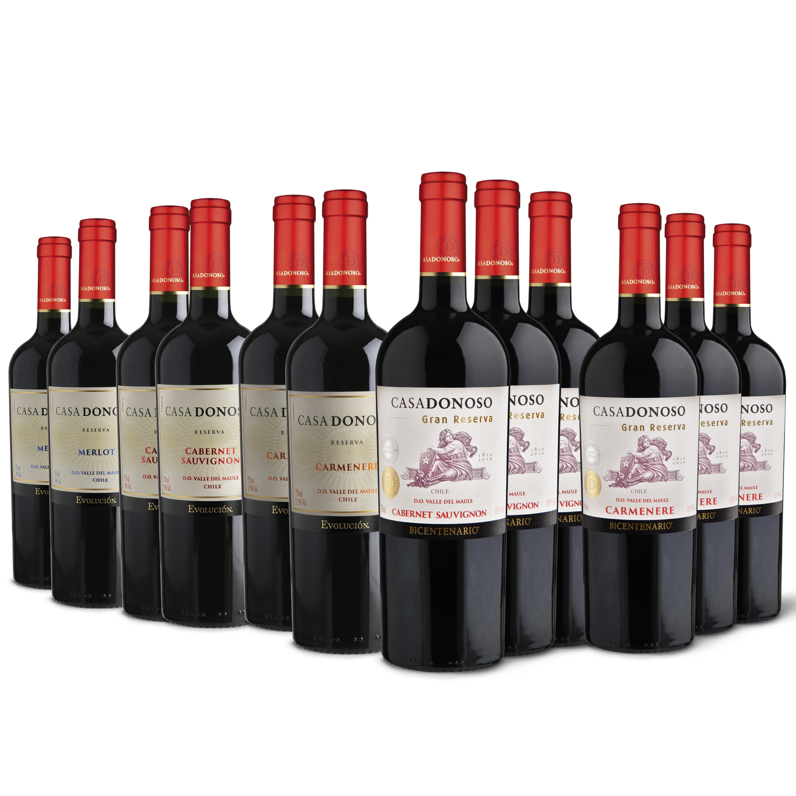 Pack los más vendidos (12 Botellas)